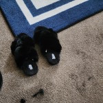 View Gallery Image #1