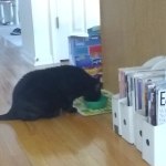 View Gallery Image #4