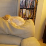 View Gallery Image #13