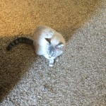 View Gallery Image #3