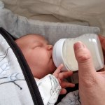 View Gallery Image #5