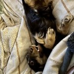 View Gallery Image #11