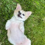 View Gallery Image #3