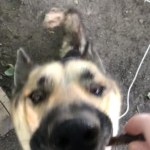 View Gallery Image #4