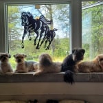 View Gallery Image #7