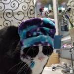 View Gallery Image #13