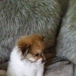 View Gallery Image #4