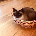 View Gallery Image #5