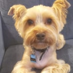 View Gallery Image #5