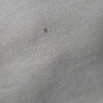 View Gallery Image #3