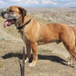 View Gallery Image #11