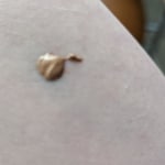 View Gallery Image #6