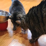 View Gallery Image #15