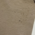 View Gallery Image #8