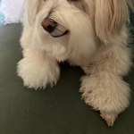 View Gallery Image #7