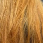 View Gallery Image #8