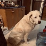 View Gallery Image #1