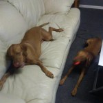 View Gallery Image #6