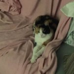 View Gallery Image #15