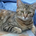 View Gallery Image #12