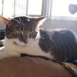 View Gallery Image #1