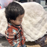 View Gallery Image #3