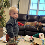 View Gallery Image #5