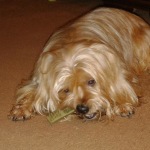 View Gallery Image #1