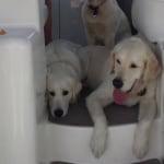 View Gallery Image #8