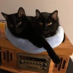 View Gallery Image #2