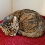 View Gallery Image #14