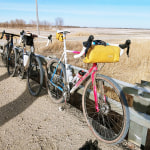 All city on sale nature cross geared