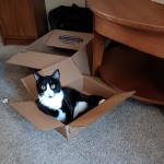 View Gallery Image #1