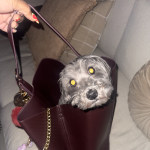 View Gallery Image #7