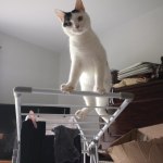 View Gallery Image #1