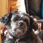 View Gallery Image #12