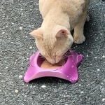 View Gallery Image #9