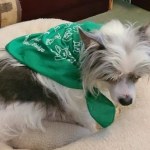 View Gallery Image #11