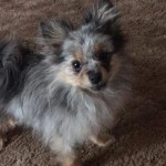 View Gallery Image #4