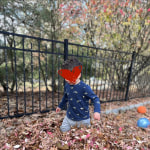 View Gallery Image #1