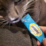 View Gallery Image #14