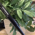 View Gallery Image #5