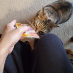 View Gallery Image #13