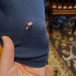 View Gallery Image #9