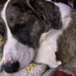 View Gallery Image #9