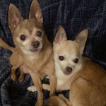 View Gallery Image #4