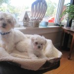 View Gallery Image #15