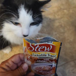 View Gallery Image #7