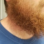 View Gallery Image #12