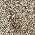 View Gallery Image #9